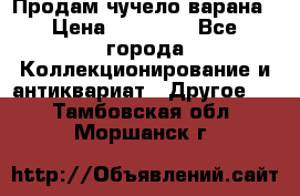 Продам чучело варана › Цена ­ 15 000 - Все города Коллекционирование и антиквариат » Другое   . Тамбовская обл.,Моршанск г.